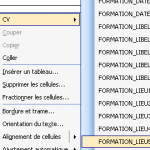 refaire son cv pour les ssii