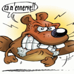Coup de gueule contre content-spinning.com