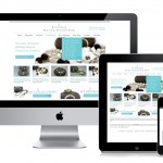 Responsive Design ou site mobile